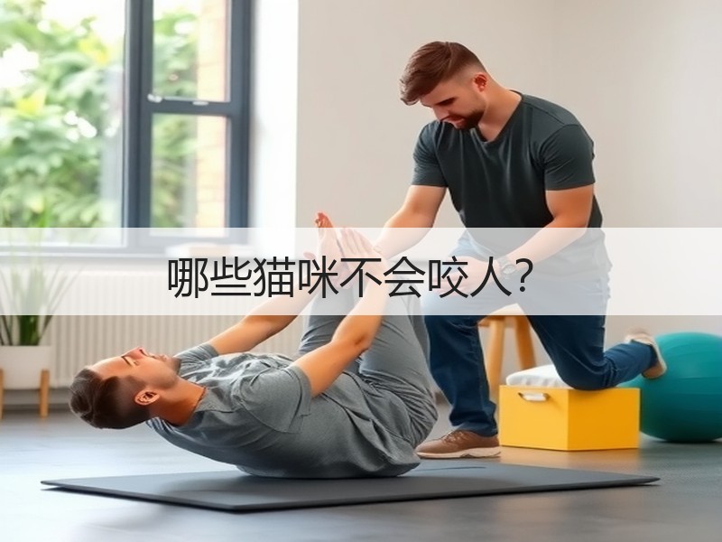 哪些猫咪不会咬人？