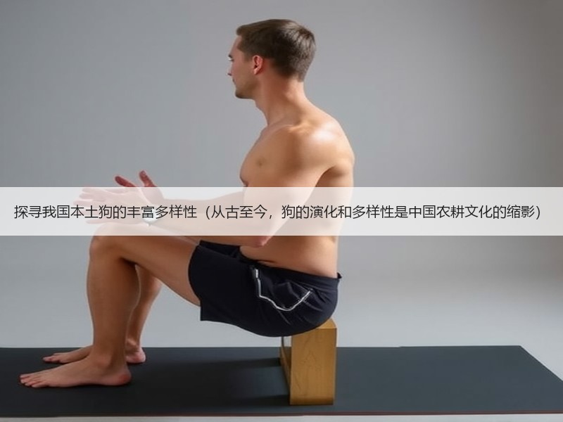 探寻我国本土狗的丰富多样性（从古至今，狗的演化和多样性是中国农耕文化的缩影）