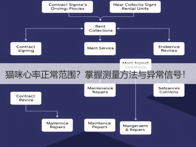猫咪心率正常范围？掌握测量方法与异常信号！