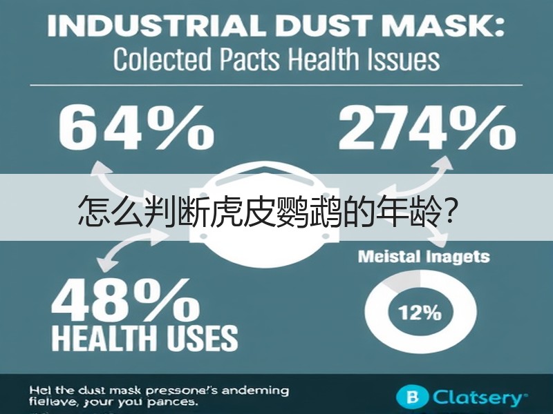 怎么判断虎皮鹦鹉的年龄？