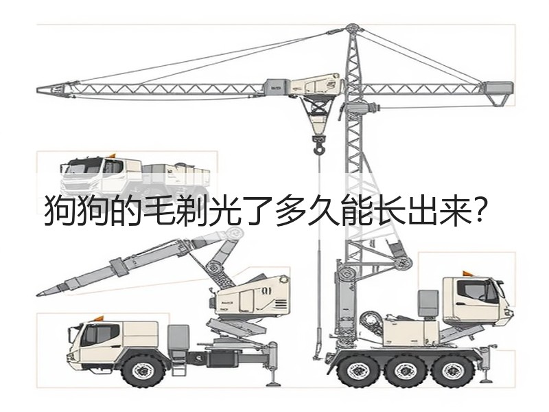 狗狗的毛剃光了多久能长出来？