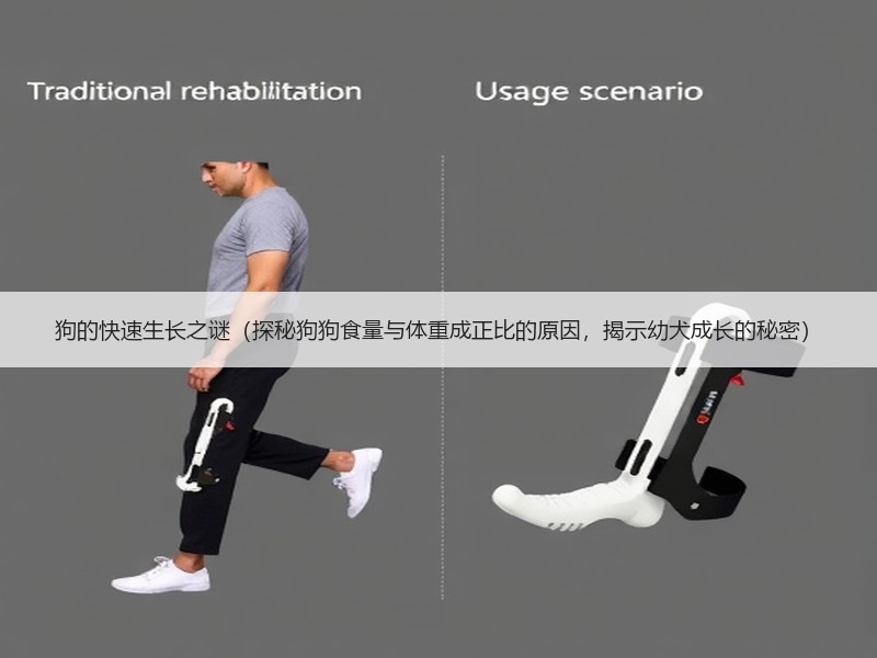 狗的快速生长之谜（探秘狗狗食量与体重成正比的原因，揭示幼犬成长的秘密）