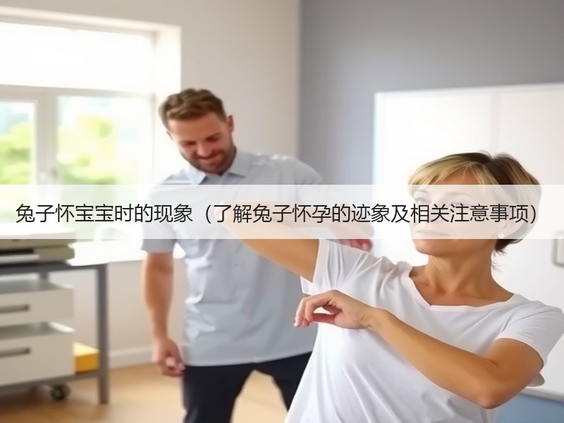 兔子怀宝宝时的现象（了解兔子怀孕的迹象及相关注意事项）