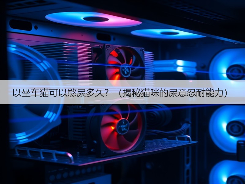以坐车猫可以憋尿多久？（揭秘猫咪的尿意忍耐能力）