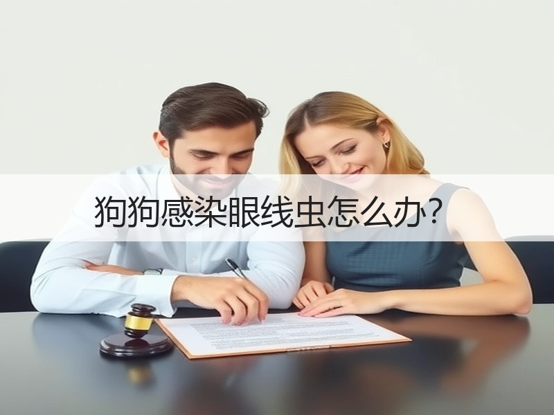 狗狗感染眼线虫怎么办？