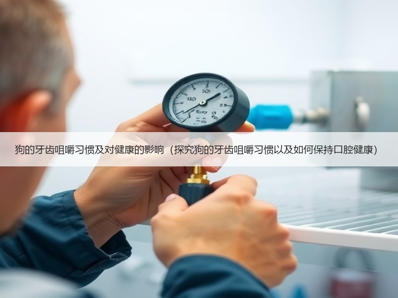 狗的牙齿咀嚼习惯及对健康的影响（探究狗的牙齿咀嚼习惯以及如何保持口腔健康）