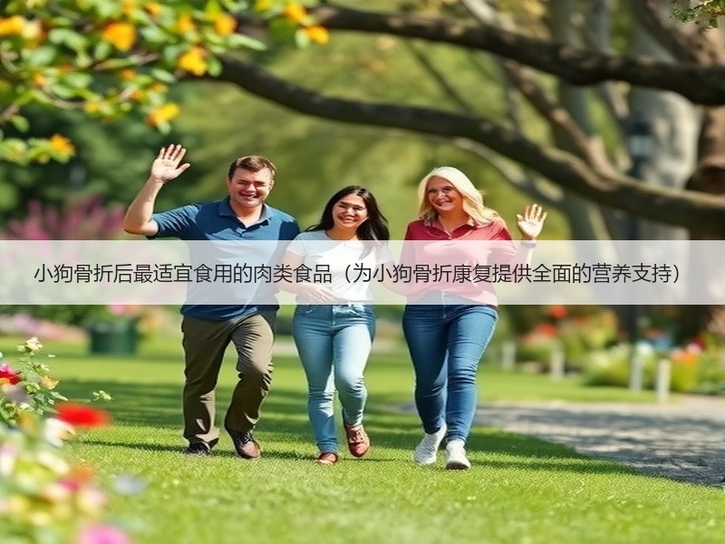小狗骨折后最适宜食用的肉类食品（为小狗骨折康复提供全面的营养支持）