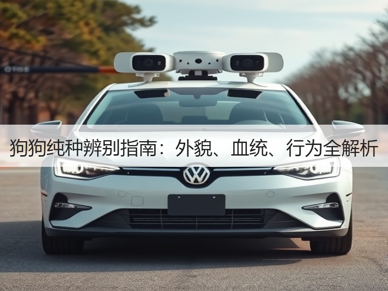 狗狗纯种辨别指南：外貌、血统、行为全解析