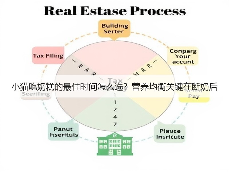 小猫吃奶糕的最佳时间怎么选？营养均衡关键在断奶后