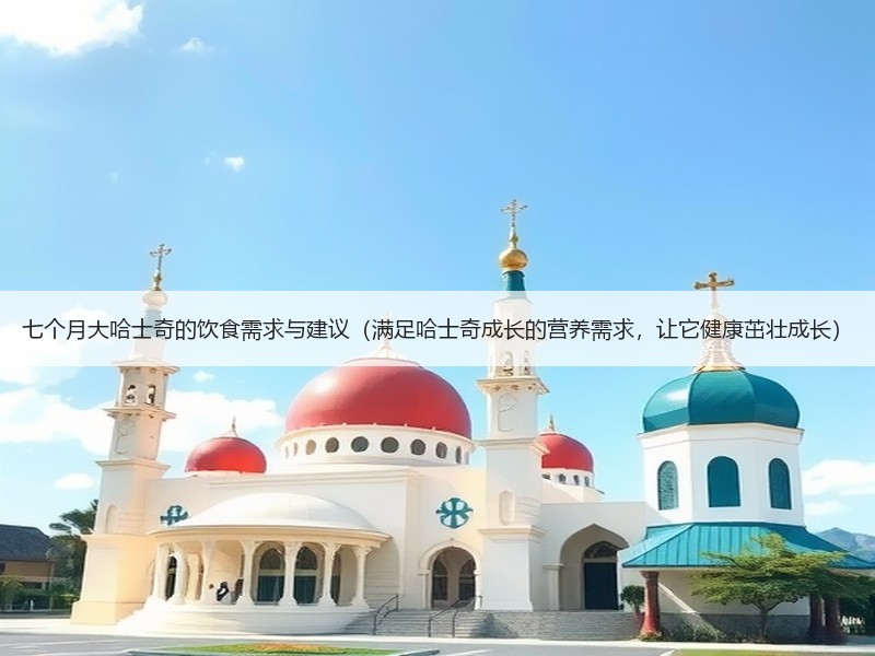 七个月大哈士奇的饮食需求与建议（满足哈士奇成长的营养需求，让它健康茁壮成长）