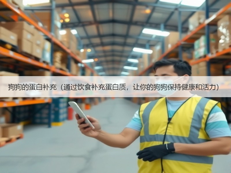 狗狗的蛋白补充（通过饮食补充蛋白质，让你的狗狗保持健康和活力）