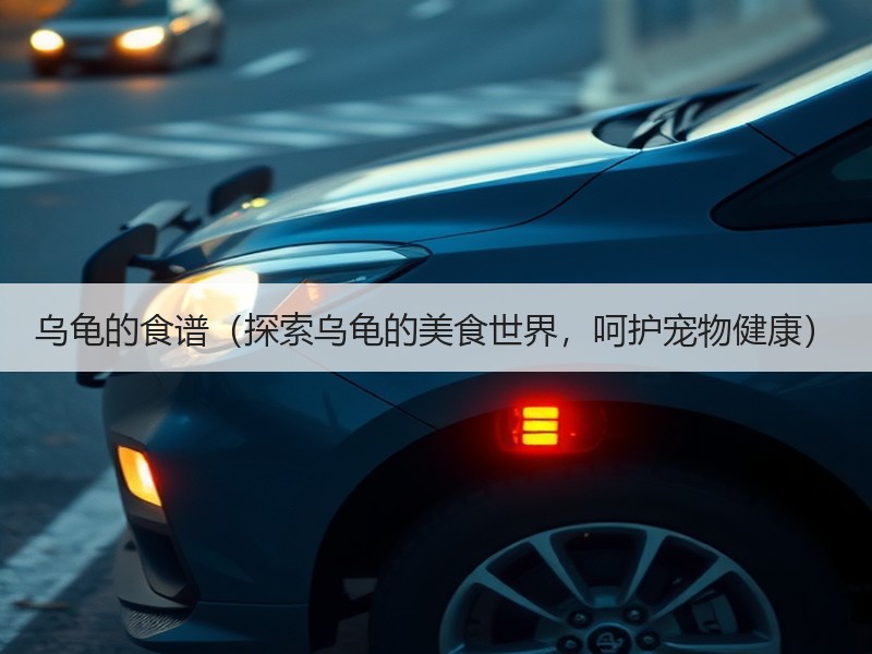 乌龟的食谱（探索乌龟的美食世界，呵护宠物健康）