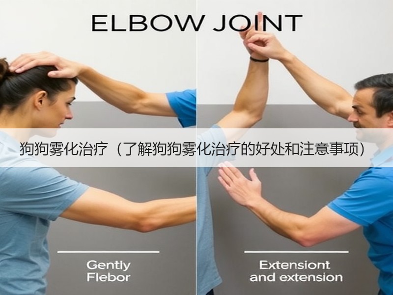 狗狗雾化治疗（了解狗狗雾化治疗的好处和注意事项）