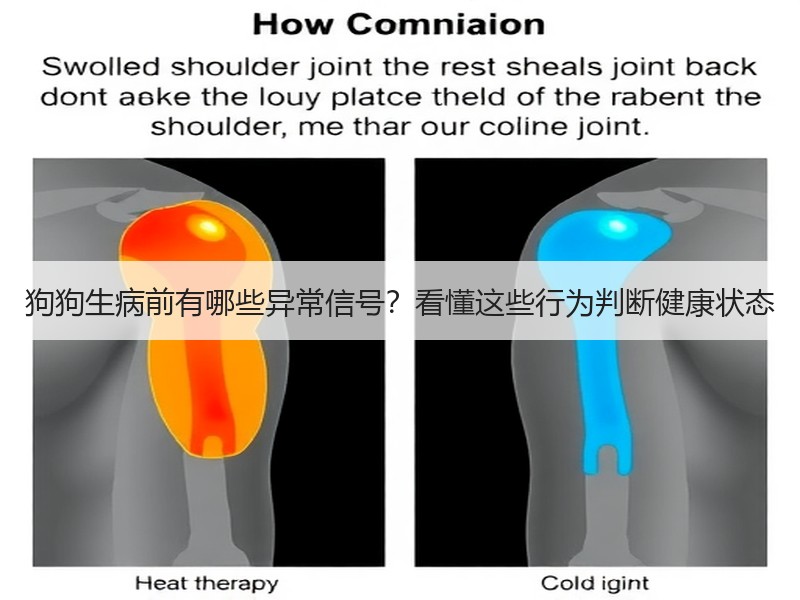 狗狗生病前有哪些异常信号？看懂这些行为判断健康状态
