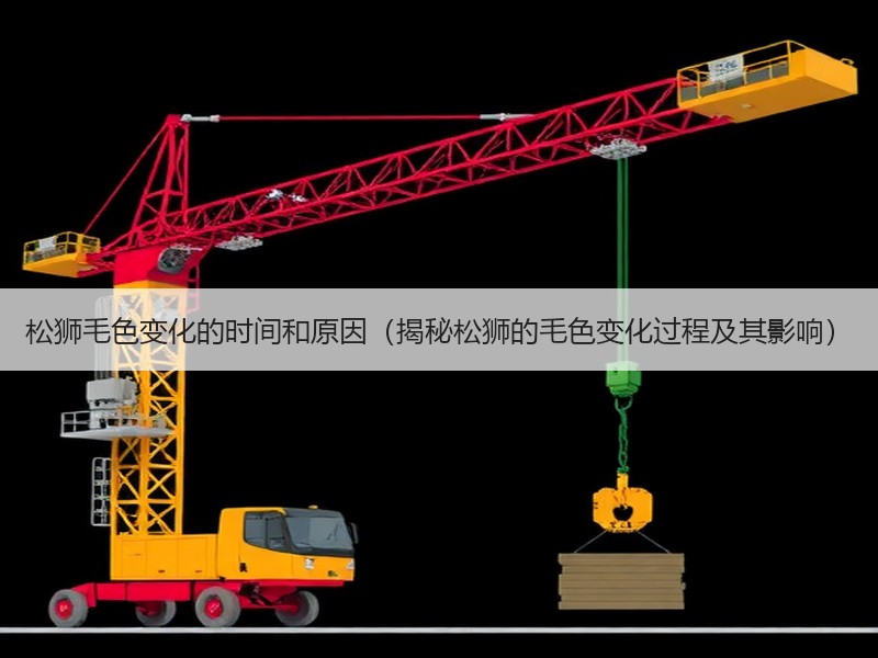 松狮毛色变化的时间和原因（揭秘松狮的毛色变化过程及其影响）