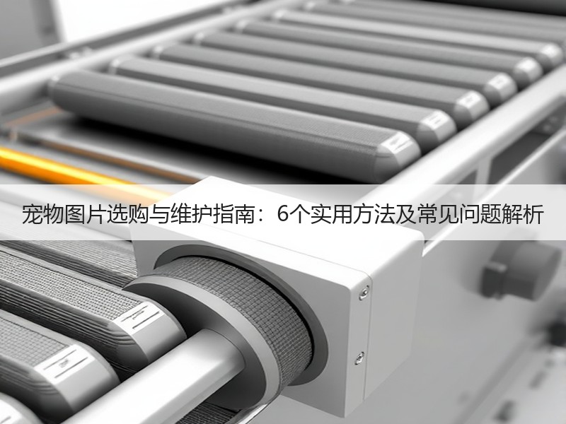 宠物图片选购与维护指南：6个实用方法及常见问题解析