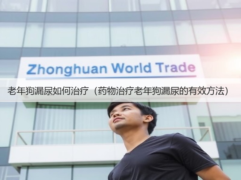 老年狗漏尿如何治疗（药物治疗老年狗漏尿的有效方法）