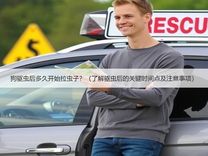 狗驱虫后多久开始拉虫子？（了解驱虫后的关键时间点及注意事项）