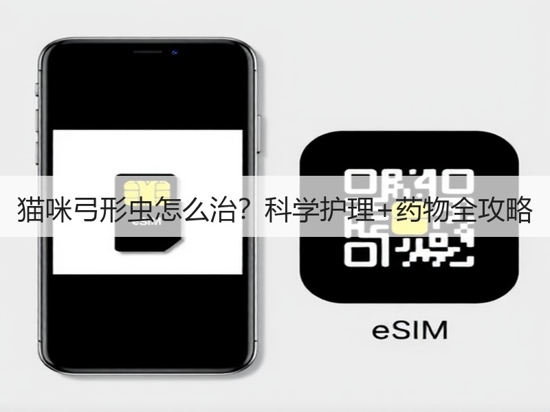 猫咪弓形虫怎么治？科学护理+药物全攻略