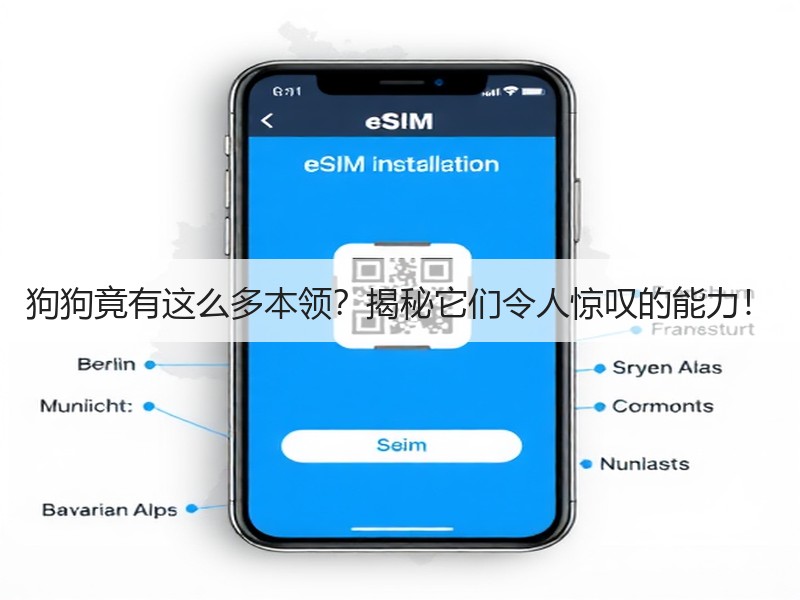 狗狗竟有这么多本领？揭秘它们令人惊叹的能力！