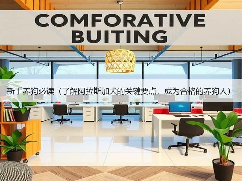 新手养狗必读（了解阿拉斯加犬的关键要点，成为合格的养狗人）