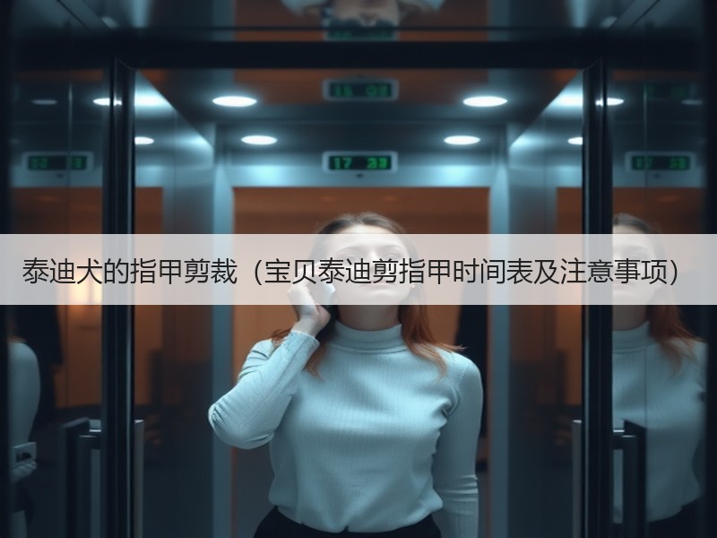 泰迪犬的指甲剪裁（宝贝泰迪剪指甲时间表及注意事项）