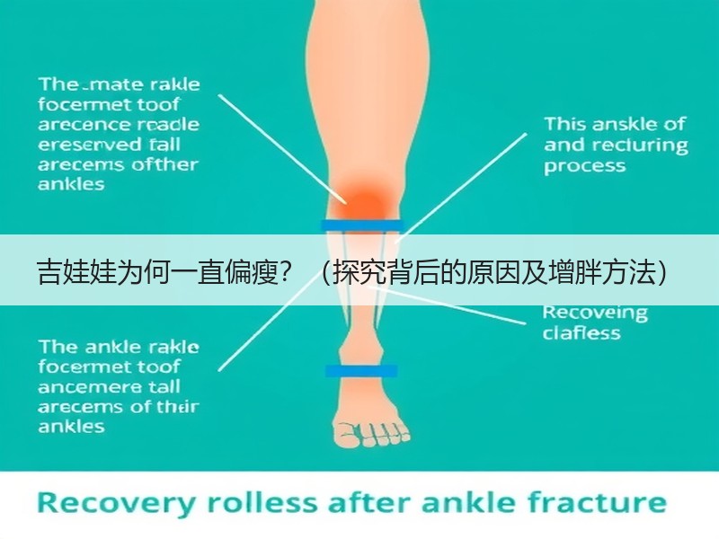 吉娃娃为何一直偏瘦？（探究背后的原因及增胖方法）