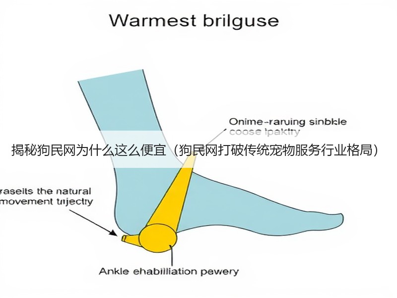 揭秘狗民网为什么这么便宜（狗民网打破传统宠物服务行业格局）