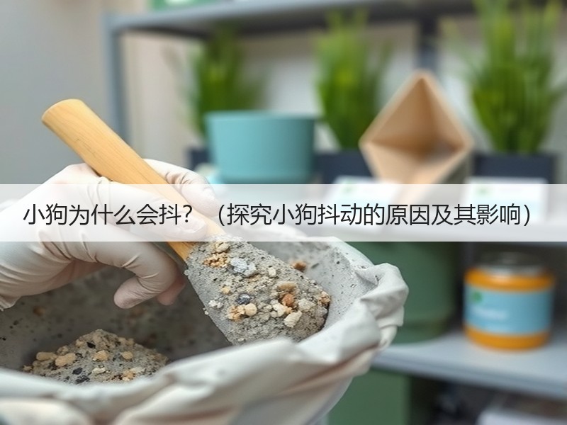 小狗为什么会抖？（探究小狗抖动的原因及其影响）