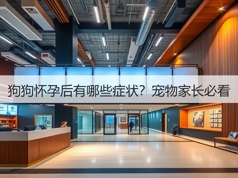狗狗怀孕后有哪些症状？宠物家长必看