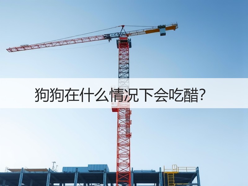 狗狗在什么情况下会吃醋？