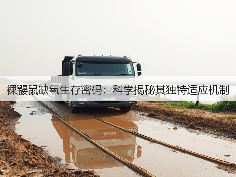 裸鼹鼠缺氧生存密码：科学揭秘其独特适应机制