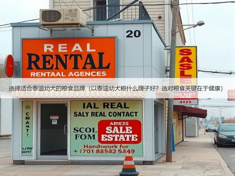 选择适合泰迪幼犬的粮食品牌（以泰迪幼犬粮什么牌子好？选对粮食关键在于健康）
