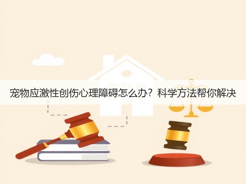 宠物应激性创伤心理障碍怎么办？科学方法帮你解决