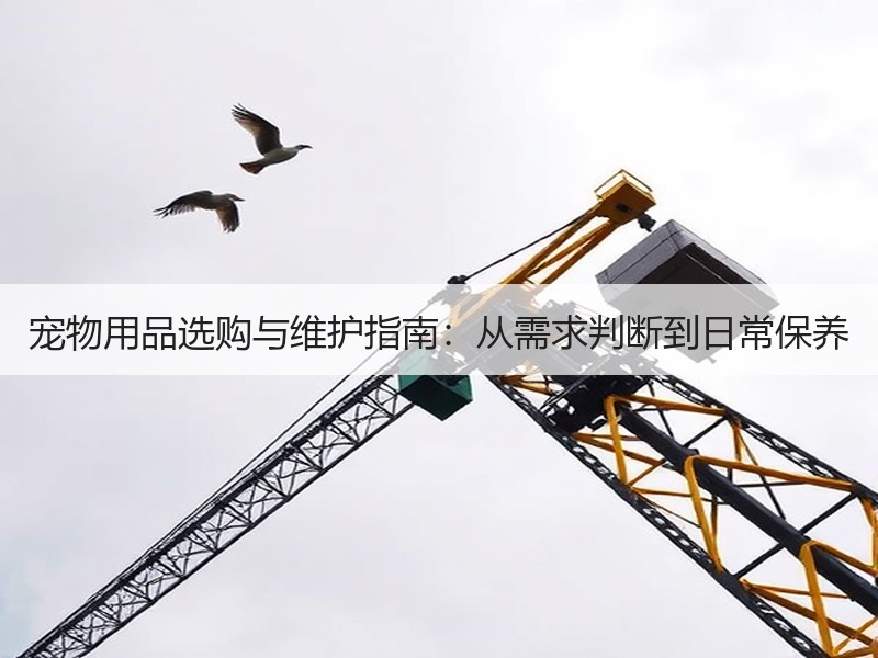 宠物用品选购与维护指南：从需求判断到日常保养