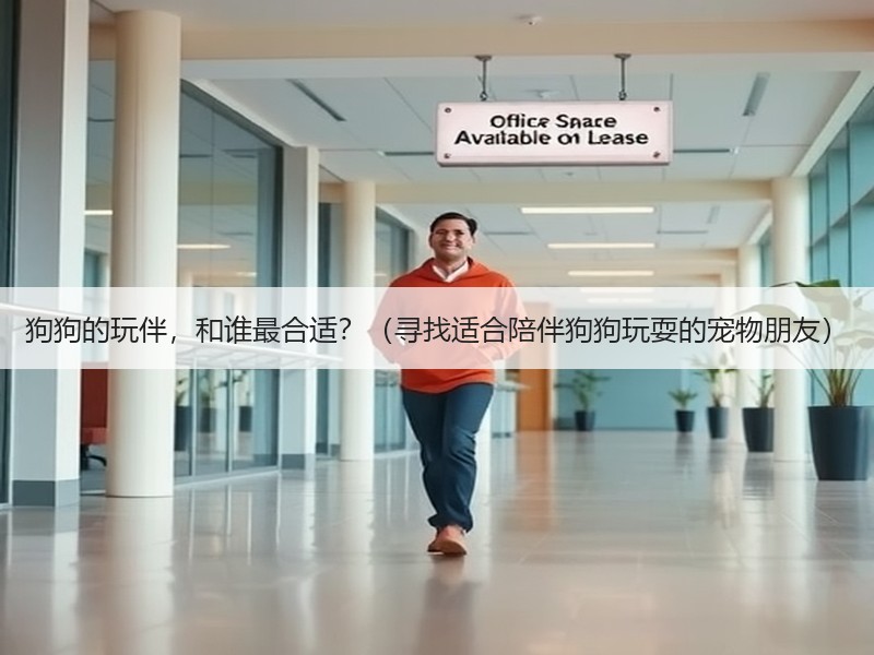 狗狗的玩伴，和谁最合适？（寻找适合陪伴狗狗玩耍的宠物朋友）