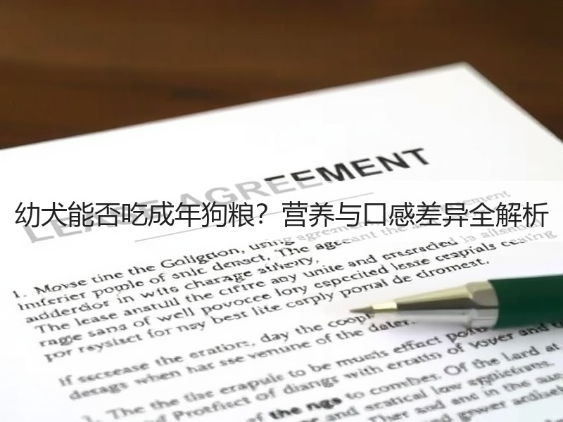 幼犬能否吃成年狗粮？营养与口感差异全解析