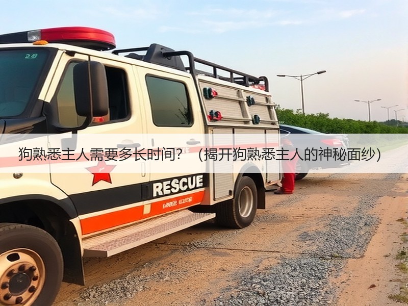 狗熟悉主人需要多长时间？（揭开狗熟悉主人的神秘面纱）