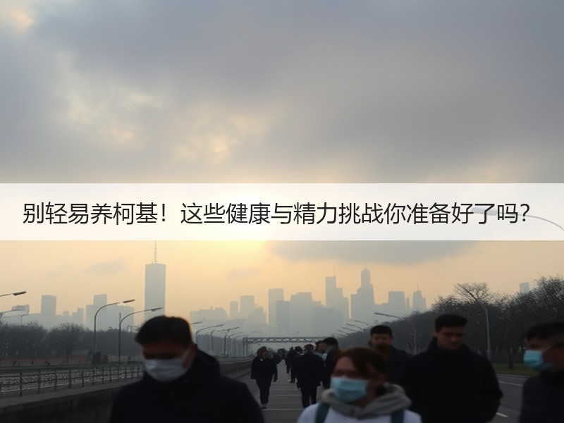别轻易养柯基！这些健康与精力挑战你准备好了吗？