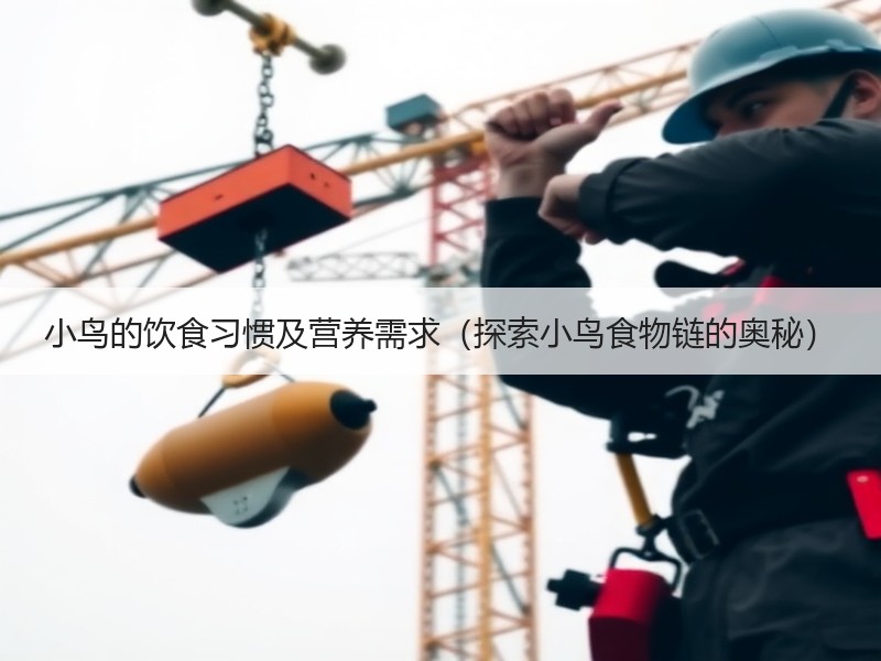 小鸟的饮食习惯及营养需求（探索小鸟食物链的奥秘）