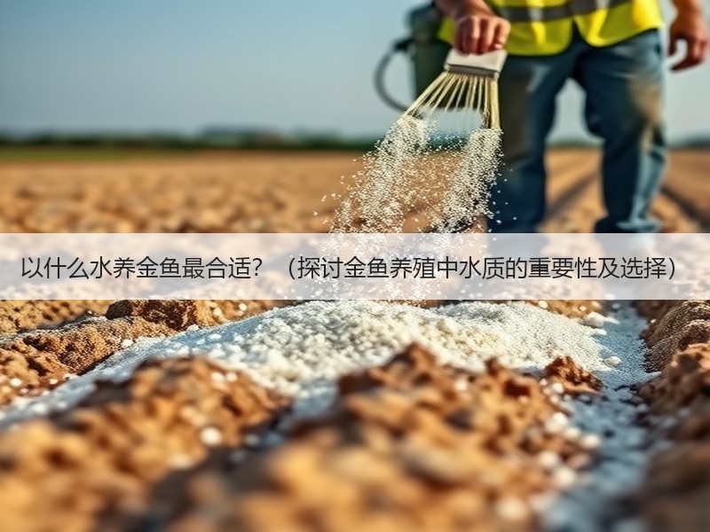 以什么水养金鱼最合适？（探讨金鱼养殖中水质的重要性及选择）