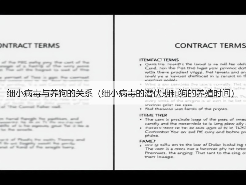 细小病毒与养狗的关系（细小病毒的潜伏期和狗的养殖时间）