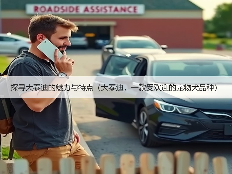 探寻大泰迪的魅力与特点（大泰迪，一款受欢迎的宠物犬品种）