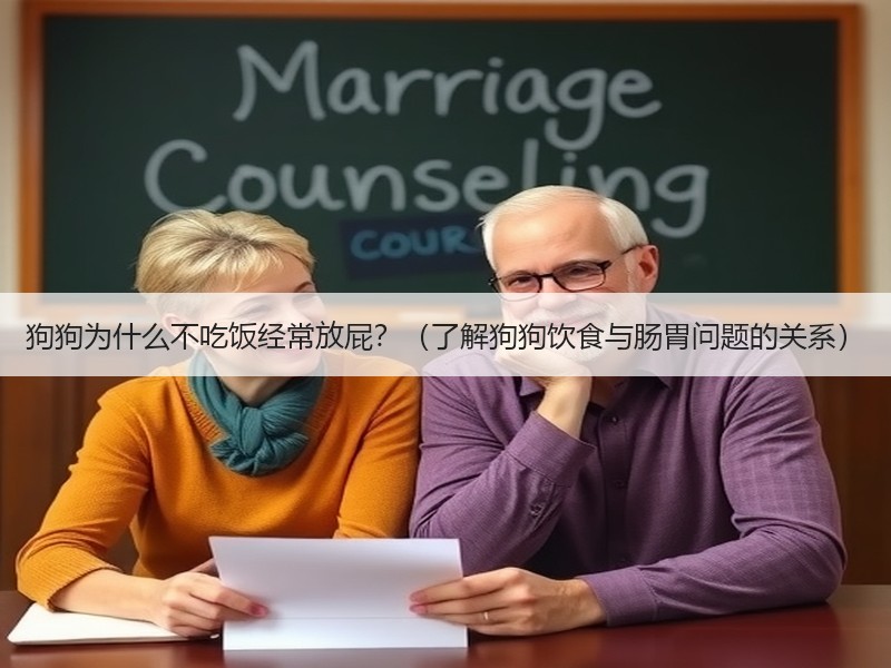 狗狗为什么不吃饭经常放屁？（了解狗狗饮食与肠胃问题的关系）