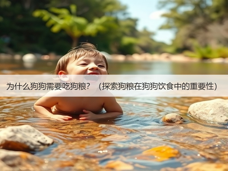 为什么狗狗需要吃狗粮？（探索狗粮在狗狗饮食中的重要性）