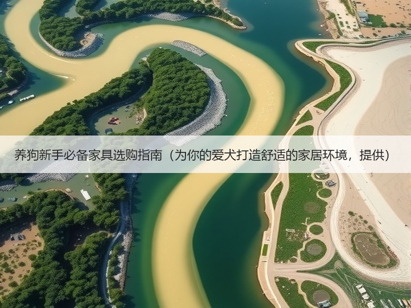 养狗新手必备家具选购指南（为你的爱犬打造舒适的家居环境，提供）