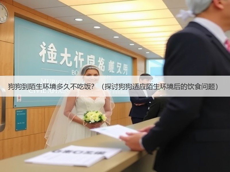 狗狗到陌生环境多久不吃饭？（探讨狗狗适应陌生环境后的饮食问题）