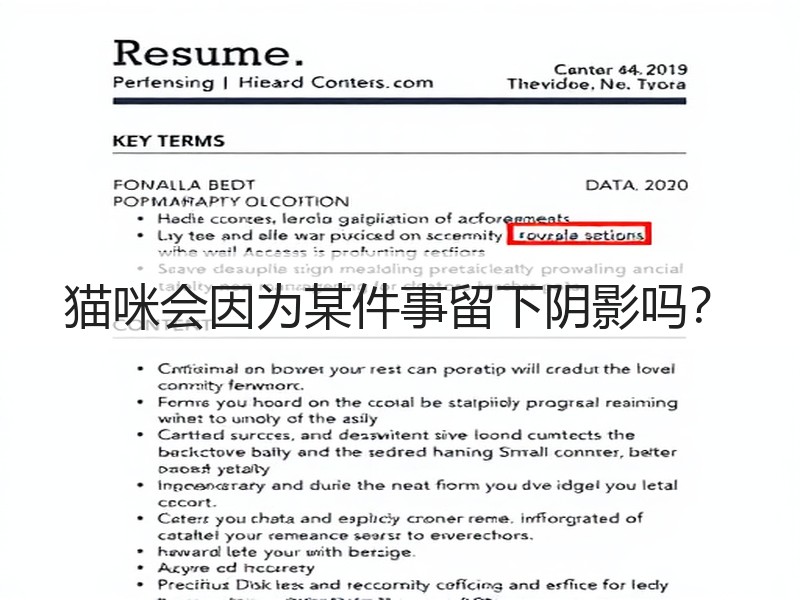 猫咪会因为某件事留下阴影吗？