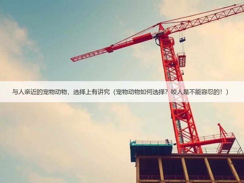 与人亲近的宠物动物，选择上有讲究（宠物动物如何选择？咬人是不能容忍的！）