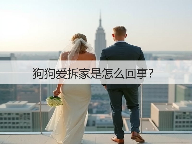 狗狗爱拆家是怎么回事？